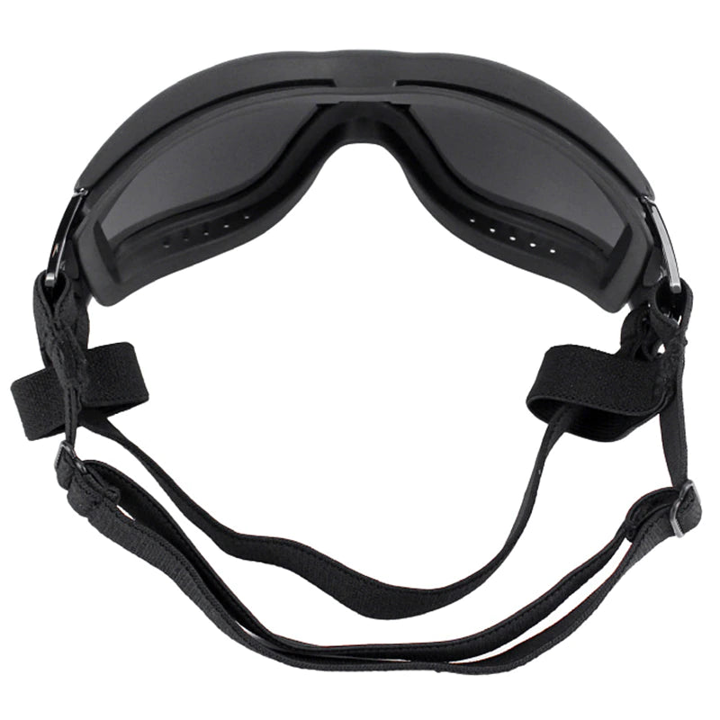GAFAS PARA PERRO