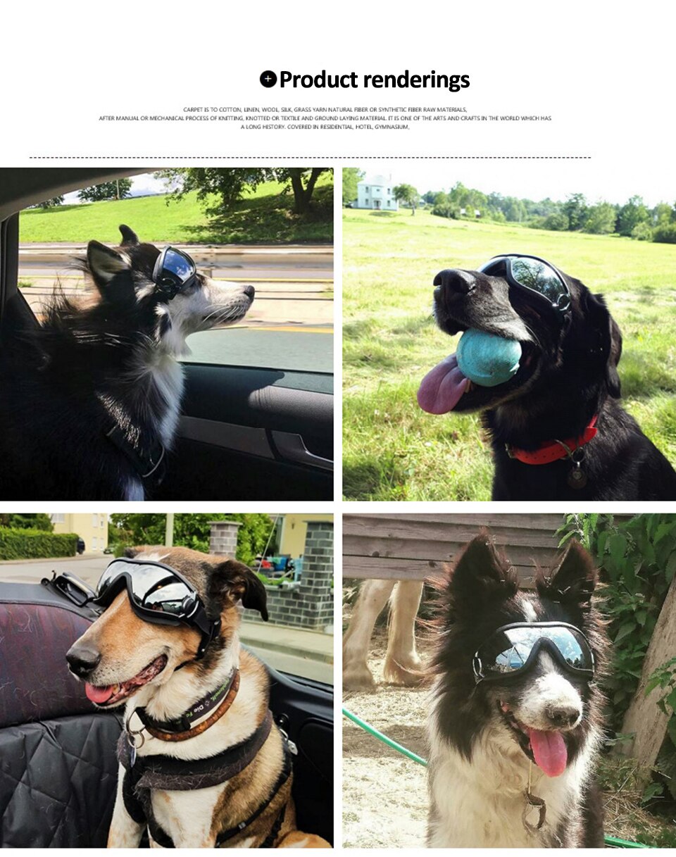 GAFAS PARA PERRO