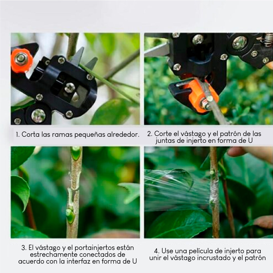 TIJERA JARDÍN