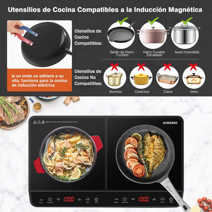 ESTUFA DE INDUCCION DOS QUEMADORES