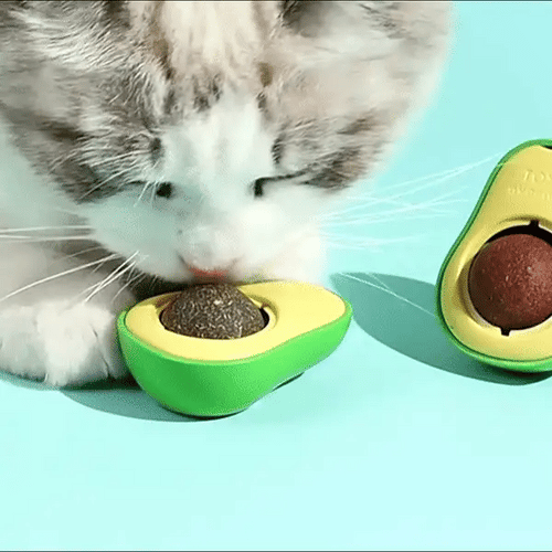 CATNIP GATUNO