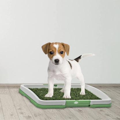 CESPED ORINAL PARA MASCOTAS